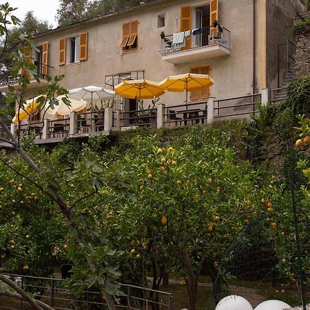 La Casa Dei Limoni Hotel Monterosso al Mare Ngoại thất bức ảnh