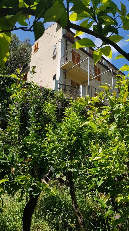 La Casa Dei Limoni Hotel Monterosso al Mare Ngoại thất bức ảnh