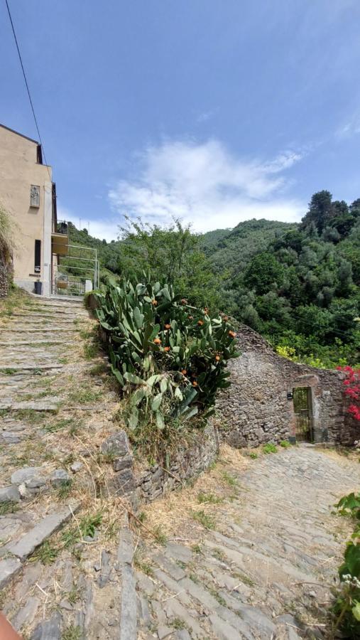 La Casa Dei Limoni Hotel Monterosso al Mare Ngoại thất bức ảnh